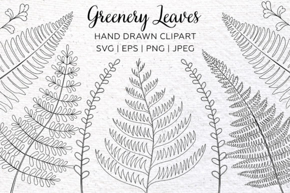 Download Greenery Clipart. Floral Leaf Design. - Greenery clipart Collection